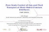 Pore Scale Control of Gas and Fluid Transport at Shale ... Library/Events/2017/carbon-storage... · Pore Scale Control of Gas and Fluid Transport at Shale Matrix -Fracture Interfaces.