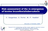 Risk assessment of the re-emergence of bovine brucellosis ... · PDF fileInternational Colloquium Emerging animal diseases ... of considerable socio-economic concern and. z. ... highest