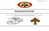 MARSOF - Marine Special Operations · PDF fileMACDILL AIR FORCE BASE, FLORIDA 33621 ... expeditionary war fighters to provide the Commander of ... Helicopters and nuclear weapons changed