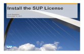 Install the SUP License - archive.sap.com PowerPC, BatchPipes, BladeCenter, System Storage, GPFS, HACMP, RETAIN, DB2 Connect, RACF, Redbooks, OS/2, …