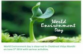 World Environment day is observed in Chettinad Vidya ...chettinadvidyamandir.org/wp-content/uploads/2017/06/environmnent... · The Year 1837 - Afforestation The Year 2014 - Deforestation