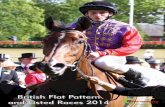 British Flat Pattern and Listed Races · PDF fileThe Roll of Honour The Trainers who trained the winners of seven or more British Flat Pattern and Listed races in 2013 are: Trainer