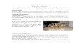 Bamboo House - Auroville Earth Institute - earth- · PDF fileBamboo House Auroville Bamboo Research Center and the Auroville Earth Institute . Introduction ... assembly, cracking was