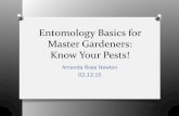 Entomology Basics for Master Gardeners: Know Your Pests! Active Members/2015 Training Class Materials... · Amanda Rose Newton 02.12.15. Keys to Insect Management Know your Pests!!