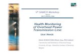 Health Monitoring of Overhead Power Transmission · PDF fileVth SAMCO Workshop Monitoring of Overhead Power Transmission Line ... Electro-magnetic ... Vth SAMCO Workshop Monitoring