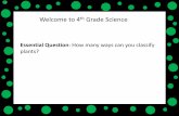 Welcome to 4th Grade Science - South Carolina Virtual ... Classify plants as flowering and non flowering Activities ... Classification Chart Plants Let’s focus this lesson on the