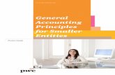 General Accounting Principles for Smaller Entities · PDF fileGeneral Accounting Principles for Smaller ... Accounting Principles for Smaller Entities) ... the two consecutive financial