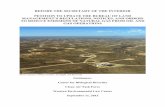Petition to BLM to Require Reductions of Emissions of · PDF filePETITION TO UPDATE THE BUREAU OF LAND MANAGEMENT’S REGULATIONS, NOTICES, AND ORDERS TO REDUCE EMISSIONS OF NATURAL