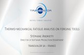 THERMO MECHANICAL FATIGUE ANALYSIS ON s/Asia Forge... · PDF filethermo-mechanical fatigue analysis on forging tools stÉphane andrietti director of software production department