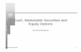 Cash, Marketable Securities and Equity Optionspeople.stern.nyu.edu/adamodar/pdfiles/eqnotes/eqshare.pdfCash, Marketable Securities and Equity ... n The simplest and most direct way