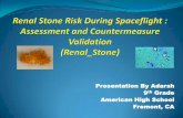Renal Stone Risk During Spaceflight: Assessment and ... in renal function, bone loss, fluid redistribution, and ... These are responsible for major changes in urinary system and formation