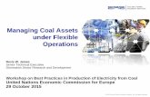 Managing Coal Assets under Flexible · PDF fileManaging Coal Assets under Flexible Operations ... Normal Operating Range Alarm Limit Transient Region Automatic Action ... Fundamental