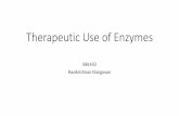 Therapeutic Use of Enzymes - Indian Institute of ...web.iitd.ac.in/~elangovan/BBL433/files/Therapeutic Use of Enzymes.pdf• Digestive aids • Metabolic storage disorders, etc •