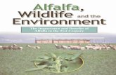 The Importance and Benefits of Alfalfa in the 21st Centuryalfalfa.ucdavis.edu/-files/pdf/Alf_Wild_Env_Brochure... ·  · 2005-07-29The Importance and Benefits of Alfalfa in the 21st