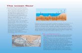 The ocean floor - National Institute Of Oceanography(NIO) floor.pdf · gentle relief. • Seamounts are ... V-shaped valleys on the ocean floor (below the continental slope). ...