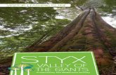 VISITOR LEARNING GUIDE - The Wilderness Society Guide.pdf · STYX VALLEY OF THE GIANTS - VISITOR LEARNING GUIDE The Styx Valley of the Giants o˛ers the opportunity to experience