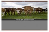 Organic Milk in the Netherlands - Natural Livestock · PDF fileConversion to organic dairy farming: ... Currently there is a shortage in the production of organic milk in the Netherlands