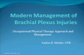 Occupational/Physical Therapy Approach and … Therapy Approach and Management. ... General Management Protocol in OBPI y ... ySubstitutional compensatory patterns of movement ...