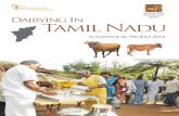 National Dairy Development Dairying In Tamil Nadu Dairy Development Board Dairying in Tamil naDu A Statistical Profile 2014 iV.2. Production Performance: milk yield IV.2.1: Year and