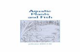 Aquatic Plants and Fish - wdfw.wa.gov · PDF fileMechanical Harvesting and Cutting ... Brazilian elodea; parrot-feather; hydrilla; fanwort; purple loosestrifes and the cover illustration).