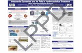 Intracranial Dynamics and its Role in …lppd.bioe.uic.edu/posters/pdf/Basati_MBECC_2011.pdfIntracranial Dynamics and its Role in Hydrocephalus Treatment S.S. Basati Basati, B. , B.