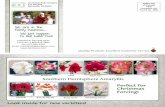 Southern Hemisphere Amaryllis - Berbee US · PDF fileApple Blossom Bouquet Dutch Belle Fantastica Lucky Strike Ludwig's ... Lady Jane Butterfly Papillio ... Slide 1 Author: Sales Created