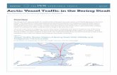 Arctic Vessel Traffic in the Bering · PDF fileArctic Vessel Traffic in the Bering Strait ... For ships under its jurisdiction, the United States should designate clear rules of the