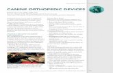 CANINE ORTHOPEDIC DEVICES - Today's Veterinary …todaysveterinarypractice.navc.com/wp-content/uploads/2016/05/TVP... · Orthopedic devices can be used to supplement ... but surgery