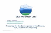Preparing for the Convergence of Healthcare, SOA, and ... · PDF filePreparing for the Convergence of Healthcare, SOA, and Cloud Computing David S. Linthicum ... APaaS IaaS Cloud Platform
