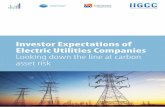 Investor Expectations of Electric Utilities Companies ... · PDF fileInvestor Expectations of Electric Utilities Companies Looking down the line at carbon asset risk Institutional