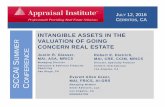 INTANGIBLE ASSETS IN THE VALUATION OF … Fall Appraisal Seminar 4 BOB DIETRICH, DIRECTOR Robert E. Dietrich, MAI, CRE, CCIM, MRICS Director, National Specialty Practice Colliers International