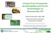 Using E3 to Incorporate Sustainability and Green ... · PDF fileUsing E3 to Incorporate Sustainability and ... Using E3 to Incorporate Sustainability and Green Technologies in ...