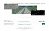 Weed density estimation from digital images in spring · PDF fileWeed Density Estimation from Digital Images in Spring Barley ... sensor for plant detection in the tramlines ... The