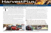 HarvestPlus, DFID-MADE Train Investors at Cassava …harvestplusng.org/images/Newsletter/Decnewsletter2016.pdf · HarvestPlus, DFID-MADE Train Investors at Cassava ‘Waste-to-Wealth’