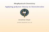 Biophysical Chemistry Applying polymer theory to biomoleculeswallace.chem.ox.ac.uk/teaching/Biophyschem_2.pdf · Applying polymer theory to biomolecules ... diameter of human nucleus: