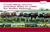 BEEF BRP MANUAL 9 Controlling worms and liver fluke in ...beefandlamb.ahdb.org.uk/wp/wp...Controlling-worms-and-liver-fluke... · BEEF BRP MANUAL 9 Controlling worms and liver fluke