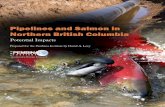 Pipelines and Salmon in Northern British Columbia and Salmon in Northern British Columbia ... Olga N. Vasik; Pipeline photo: ... The Pembina Institute 1 Pipelines and Salmon in Northern