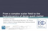 Superfludity in dense quark matter - USPfoton/CSQCD3/DOWNLOADS/CSQCD3_Stetina.… · From a complex scalar field to the hydrodynamics of dense quark matter Stephan Stetina Institute