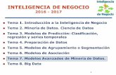 INTELIGENCIA DE NEGOCIO - UGRsci2s.ugr.es/sites/default/files/files/Teaching/... · Introducción a la Inteligencia de Negocio n Tema 2. Minería de Datos. Ciencia de Datos ... [Wang