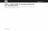Health and Safety Executive The SACGM Compendium of · PDF fileHealth and Safety Executive The SACGM Compendium ... 1.1 The SACGM Compendium of guidance for contained use activities