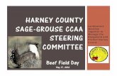 HARNEY COUNTY SAGE-GROUSE CCAA Grouse/HC Sage-Grouse CCAA...STEERING COMMITTEE" The Harney County Sage-Grouse CCAA Steering Committee was established on August 24, 2011 with the purpose