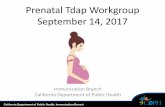 Prenatal Tdap Workgroup September 14, 2017eziz.org/assets/docs/Prenatal/2017Sept14_TdapWkg.pdf · Postintervention respondents significantly more likely to use standing orders, ...