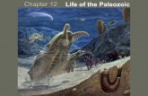 Chapter 12 Life of the Paleozoic - Lynn Fuller's Page - Homelynnrfuller.com/uploads/3/1/3/5/3135168/ch12part1keynote...lower chordate from the Burgess Shale. • Modern representatives