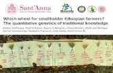 Which wheat for smallholder Ethiopian farmers? The ...iwgs2017.boku.ac.at/wp/wp-content/uploads/abstracts/19/55_IWGS... · durum wheat landraces and 27 ... Canonical Correspondence