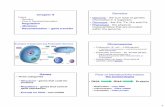 Genetics Chapter 9 - NAU jan.ucc.nau.edu web serverfpm/bio205/Sp-10/Chapter-09.pdf · Chapter 9 Topics - Genetics - Flow of Genetics/Information-Regulation - Mutation-Recombination