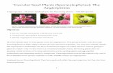 Vascular Seed Plants (Spermatophytes): The Angiosperms 2015/Vascular_Seed... · Survey vascular seed plants with flowers and ... a receptacle on which the above described flower parts