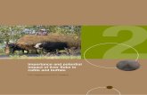 Importance and potential impact of liver fluke in cattle ...aciar.gov.au/files/node/9010/MN133 part 2.pdf · Importance and potential impact of ... 2 Importance and potential impact