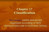 Chapter 18 Classification - wssciencenotes... · Modern System of Classification Six kingdom system Archaebacteria: unicellular prokaryotes, harsh environments. Eubacteria: common