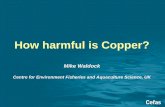 How harmful is Copper?copperantifouling.com/assets/presentations/How harmful is copper.pdf · • For some harbours and marinas monitoring data based measuring total copper dissolved