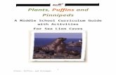 Plants, Puffins and Pinnipeds - Sea Lion · Web viewThis room has a floor area of about two acres and a vaulted rock dome about 125 feet high. Southward from the main chamber a low